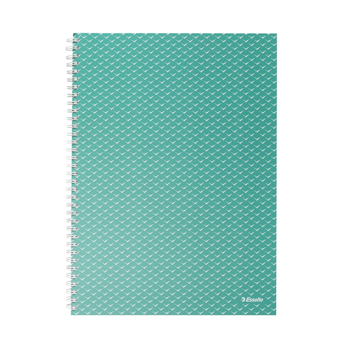 Caiet de birou Esselte Colour'Breeze, carton, reciclabil, certificare FSC, A4, 80 coli, cu spira, dictando, verde