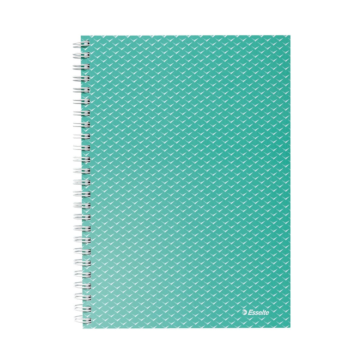 Caiet de birou Esselte Colour'Breeze, carton, reciclabil, certificare FSC, A5, 80 coli, cu spira, dictando, verde