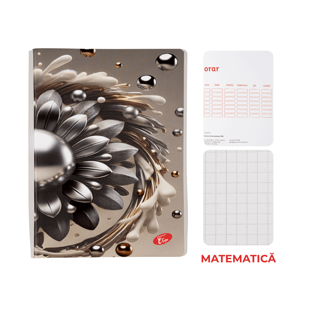 Caiet A5 Matematica ELISA PRINT 3D Arts, 48 file, 80g, coperta 300g