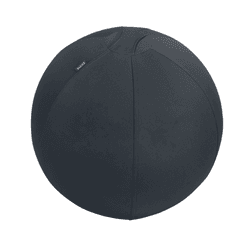 Minge ergonomica LEITZ Ergo, pentru sezut sau fitness, cu functie de oprire, 55 cm, gri-carbune