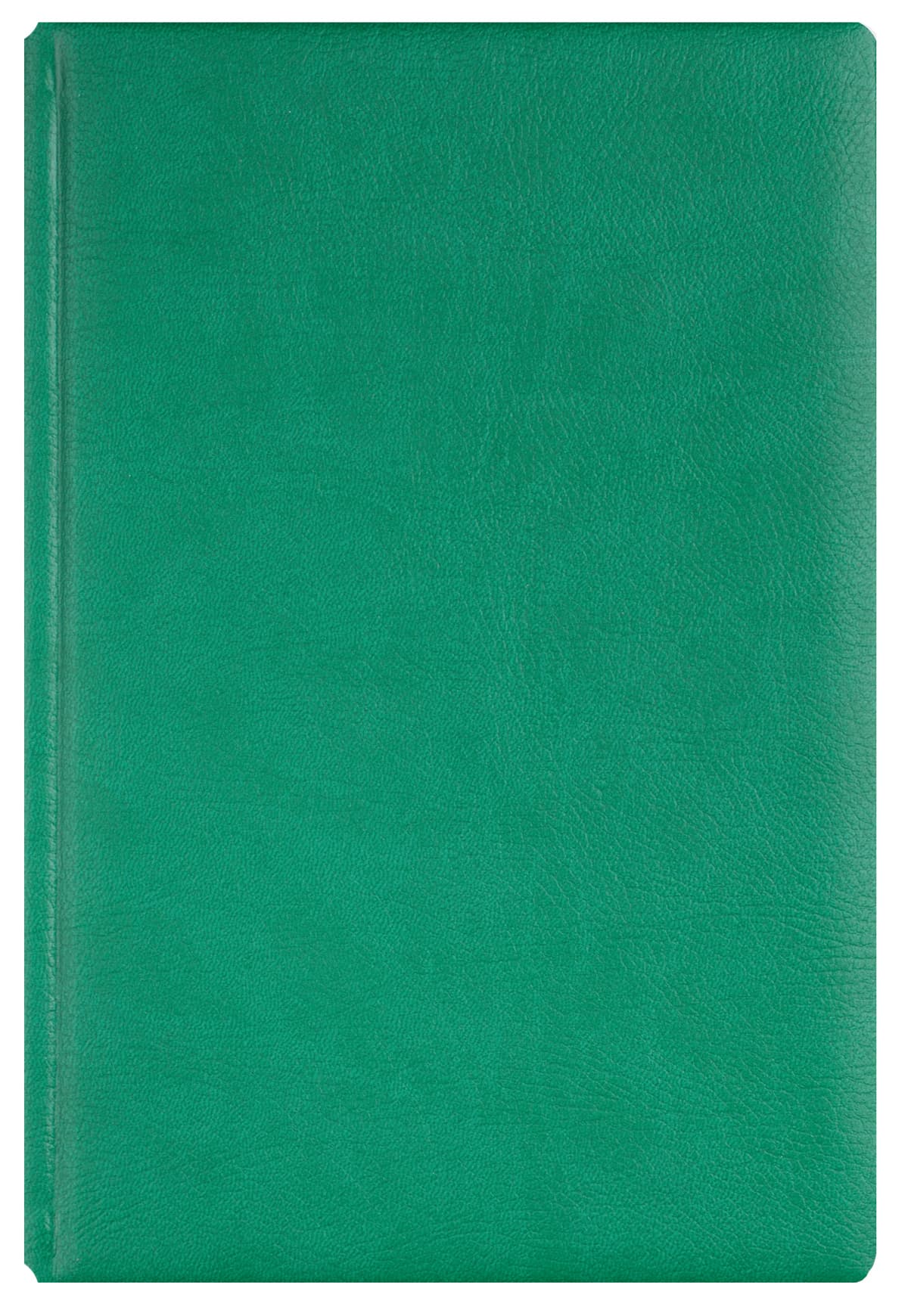 AGENDA A5 ZILNICA VERDE 2026 OFFICE EGO