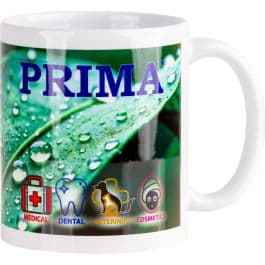 Cana ceramica PRIMA 300 ml cu imprimeu frunza verde si picaturi de roua, pentru cafea si ceai