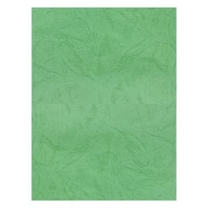 Coperta indosariere A4 CNX, carton imitatie piele, verde, 230g/mp, top 100 coli