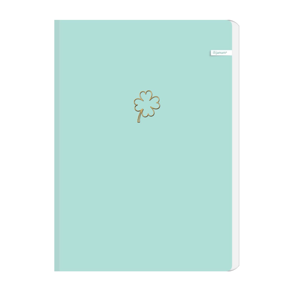 Caiet Ilijanum, A4, 96 file, 70 g/mp, dictando, soft touch