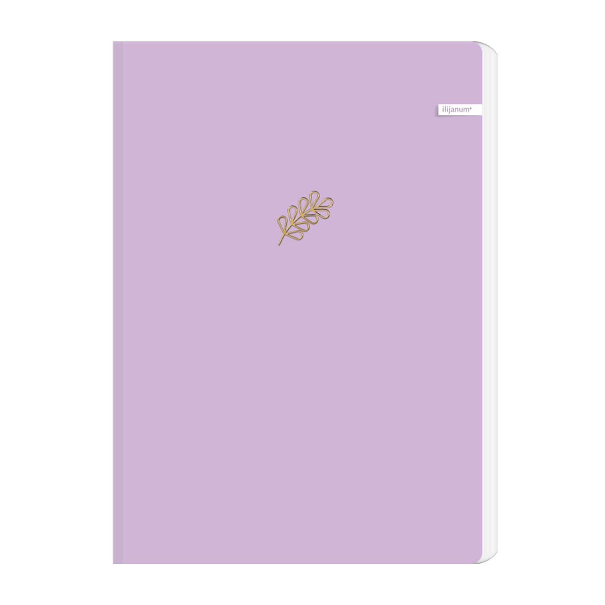 Caiet Ilijanum, A5, 96 file, 70 g/mp, dictando, soft touch