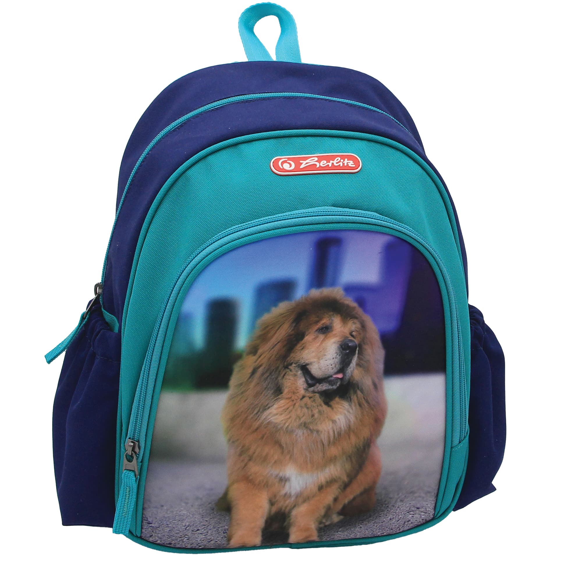 RUCSAC COOL 31X20X12CM BOSS PHANTOM