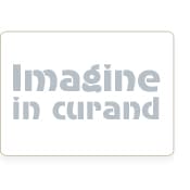RUCSAC NEW REBELS MART-CHICAGO 39X28X16CM BEJ